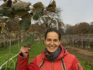 Leslie, kiwis, Feucherolles