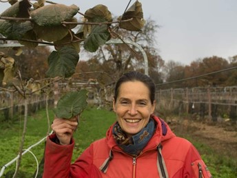 Leslie, kiwis, Feucherolles