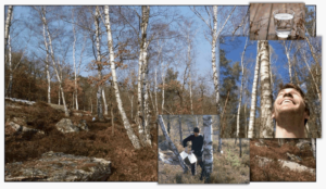 Maxime, sève de bouleau, Vaux-le-Penil